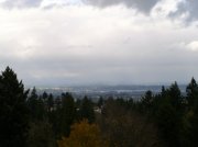 11.06.05 Wildwood Trail 013 